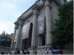 ꥫʪ (American Museum of Natural History)