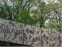 植物園 (Brooklyn Botanic Garden)