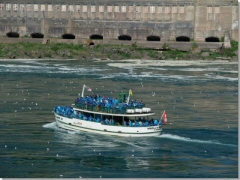 ƶ鸫̸β (Maid of the Mist)